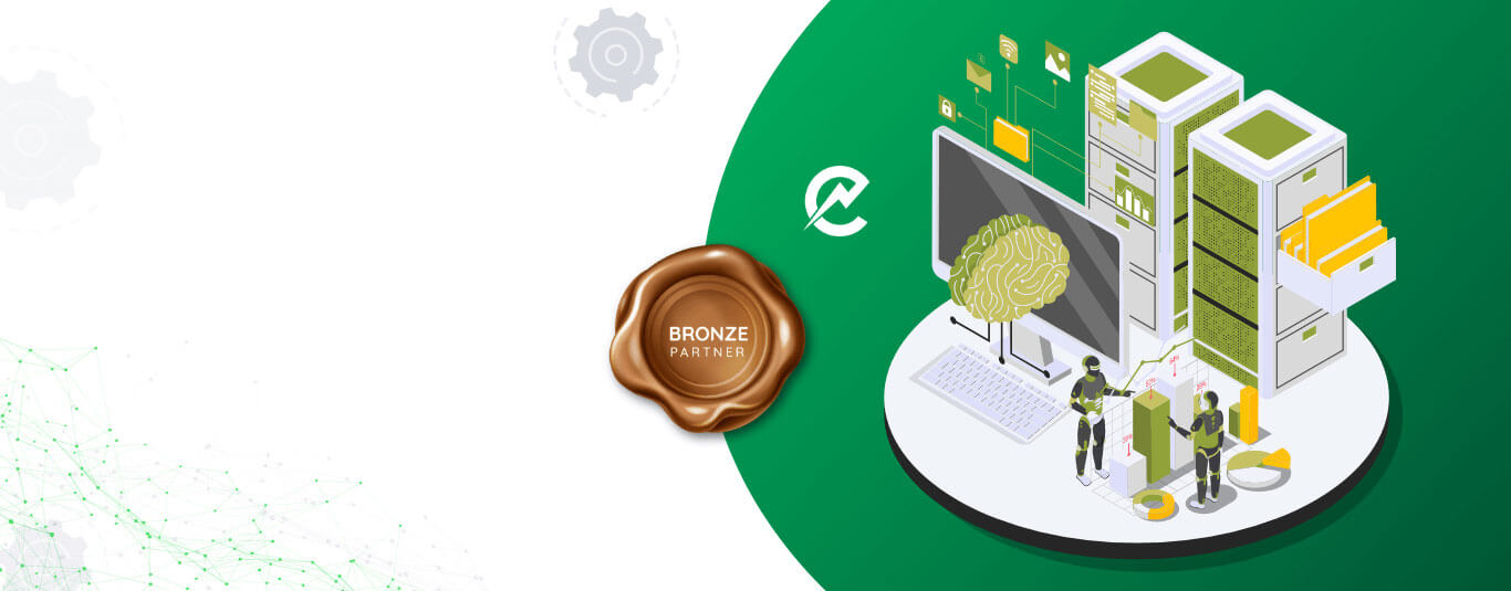 Electroneek Services