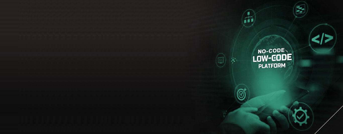 Low Code / No Code Development Services